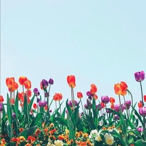 Meet your Posher, Kenyana